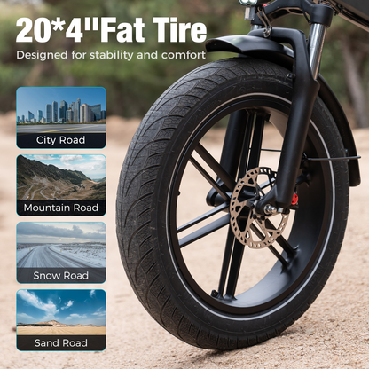 Foldable Electric Bike with 250W Motor, 48V Battery, Fat Tires, Dual Suspension
